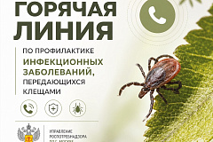 Открыта «Горячая линия» по профилактике клещевого энцефалита и других инфекций, передающихся клещами